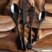 Cretee 4-Piece Stainless Steel Flatware Set Including Steak Fork Spoons Knife Tableware - B01GKRW2IE